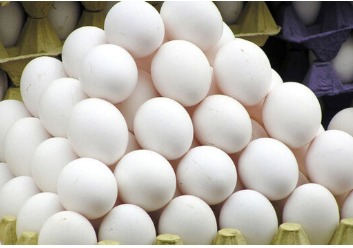 وزیر جهاد کشاورزی قیمت تخم مرغ را در درب مرغداری  12000 تومان و برای مصرف کننده را 14500 تومان اعلام کرد